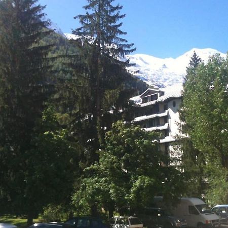 Appartement Chamonix - Vue Mont Blanc Ngoại thất bức ảnh